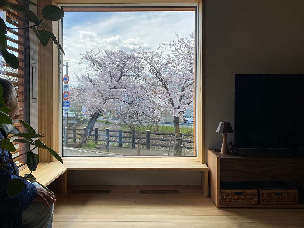 「陽の木の家」で迎える１年目の桜