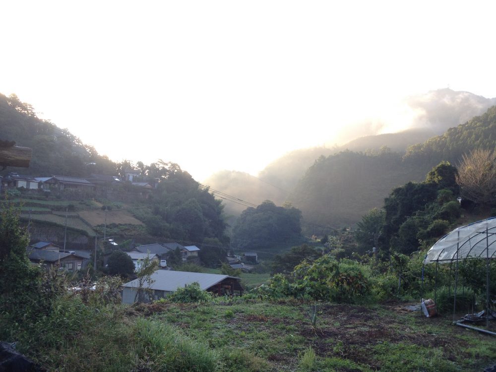 ゆすはらに到着!澄みきった空気と水、そんな好環境で育った樹木に会いに行きます。