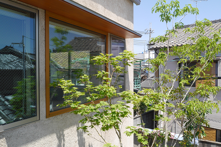 modelhouse_green1