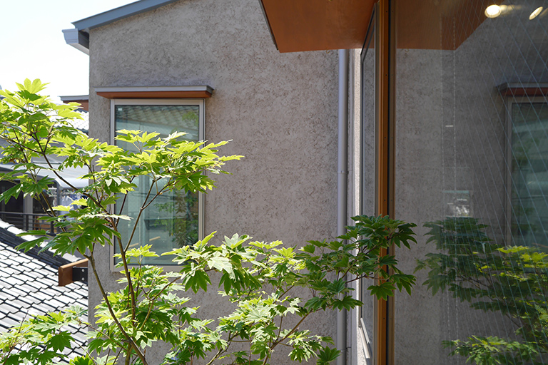 modelhouse_green2