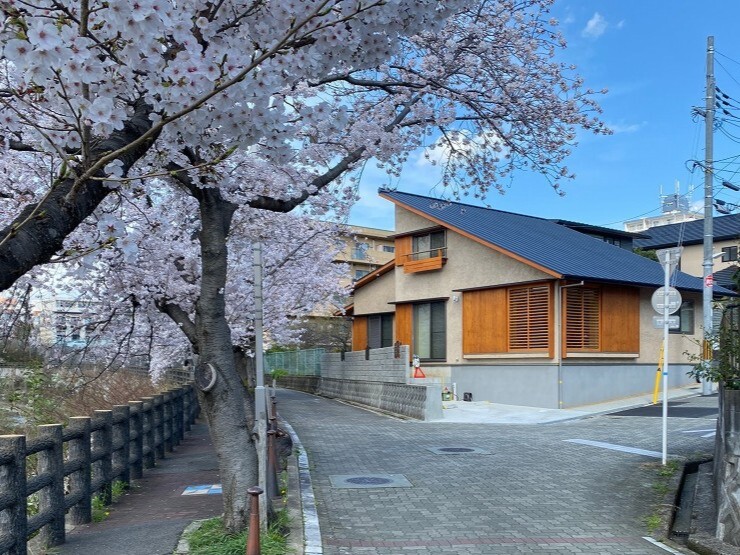 LWの窓から桜を楽しむ 豊中市の平屋
